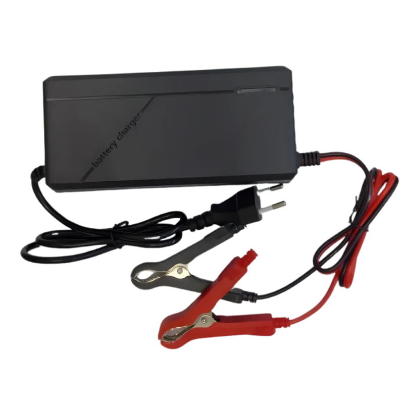 Chargeur de batterie LiFePo4 29.2V 5A avec pinces